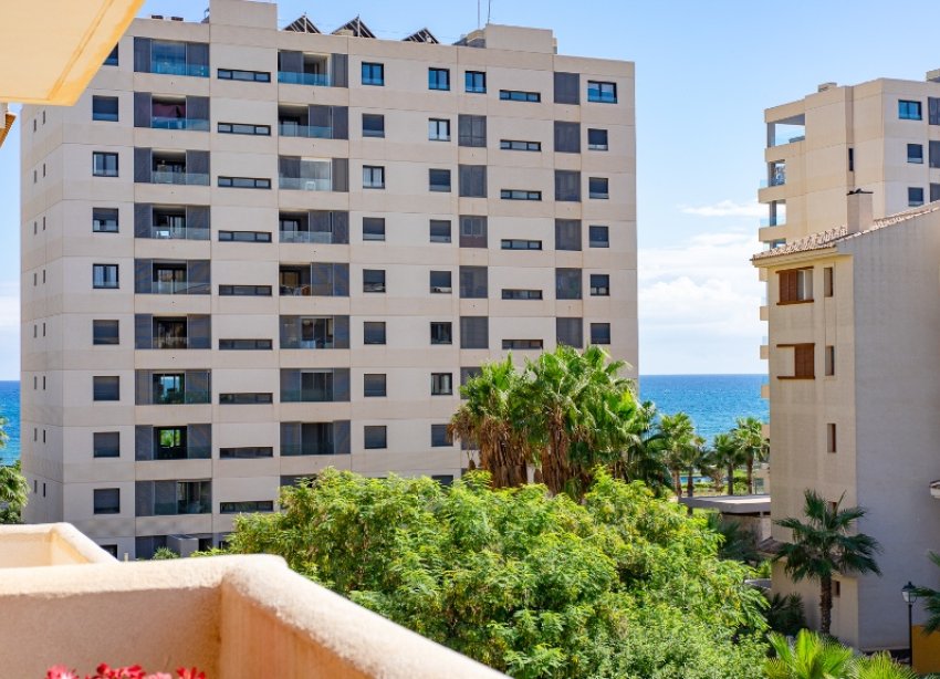 Rynek Wtórny - Apartament - Punta Prima