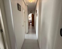 Rynek Wtórny - Apartament - Torrevieja - Acequion