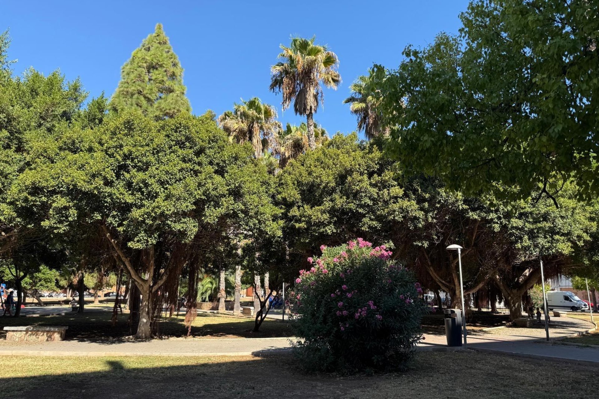 Rynek Wtórny - Apartament - Torrevieja - Acequion