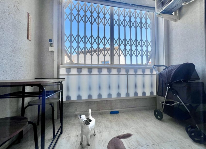 Rynek Wtórny - Apartament - Torrevieja - Acequion