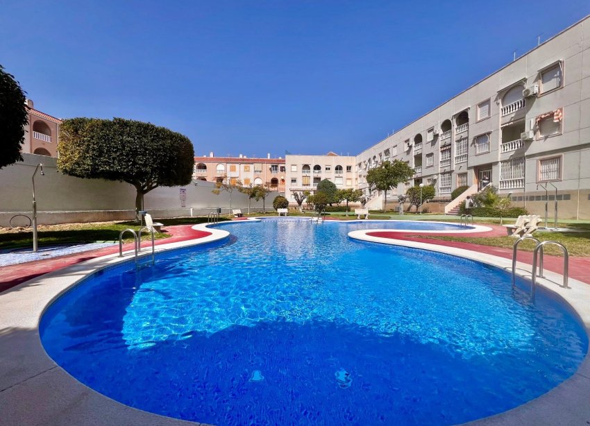Rynek Wtórny - Apartament - Torrevieja - Acequion