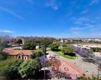 Rynek Wtórny - Apartament - Torrevieja - Acequion