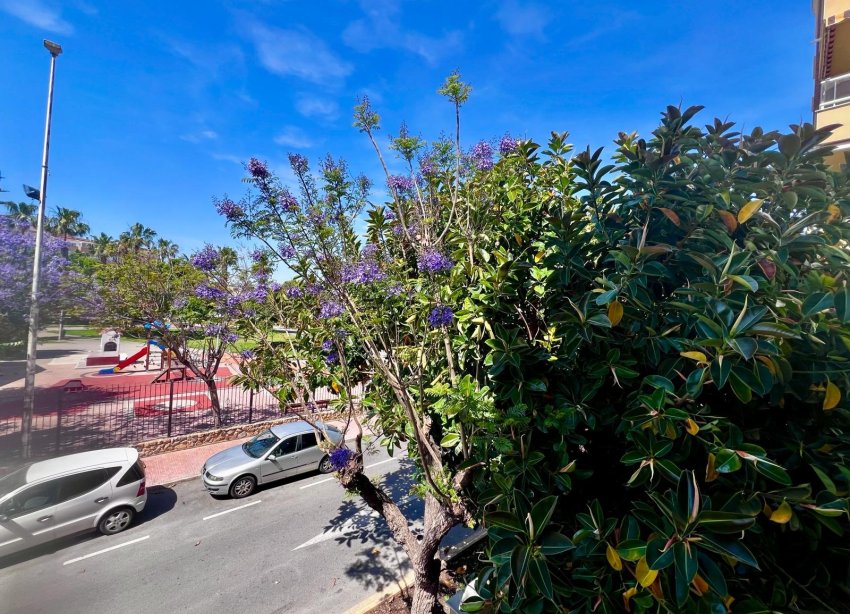 Rynek Wtórny - Apartament - Torrevieja - Acequion