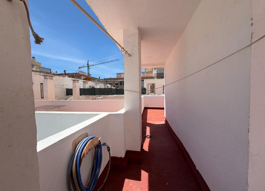 Rynek Wtórny - Apartament - Torrevieja - Acequion