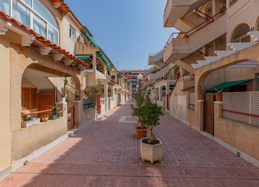 Rynek Wtórny - Apartament - Torrevieja - Acequion
