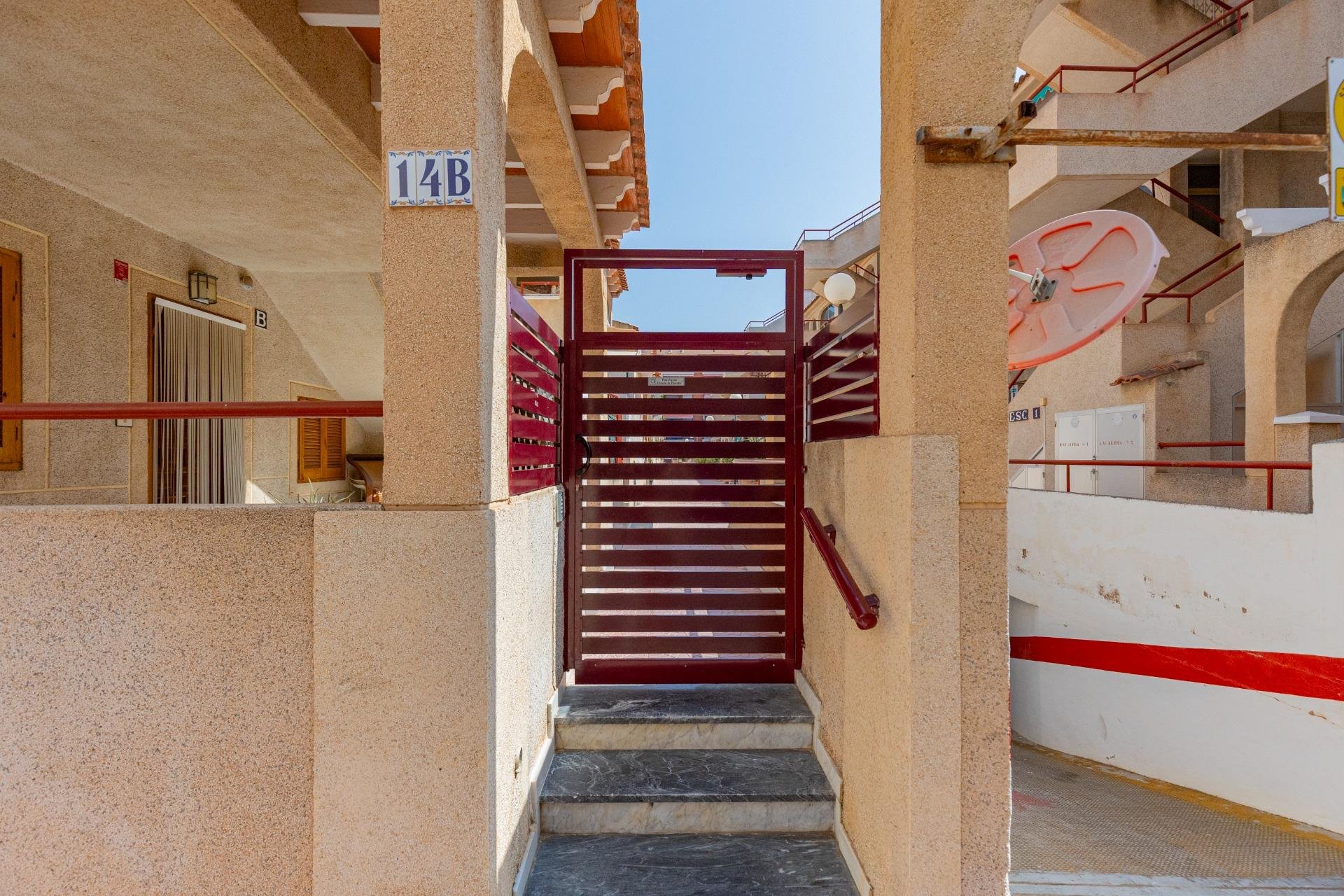 Rynek Wtórny - Apartament - Torrevieja - Acequion