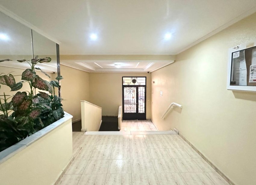 Rynek Wtórny - Apartament - Torrevieja - Acequion