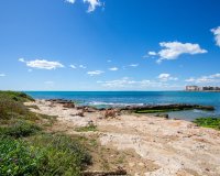 Rynek Wtórny - Apartament - Torrevieja - Centro - Muelle Pesquero