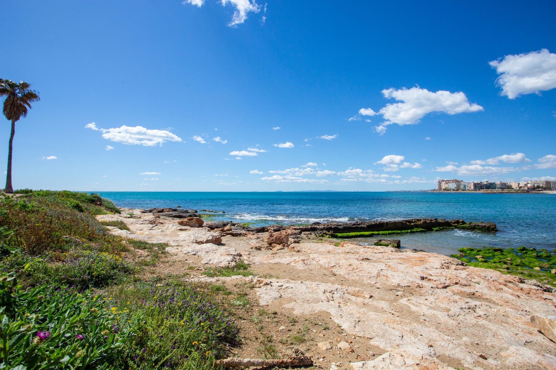 Rynek Wtórny - Apartament - Torrevieja - Centro - Muelle Pesquero