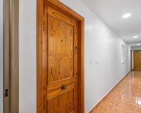 Rynek Wtórny - Apartament - Torrevieja - Centro - Muelle Pesquero