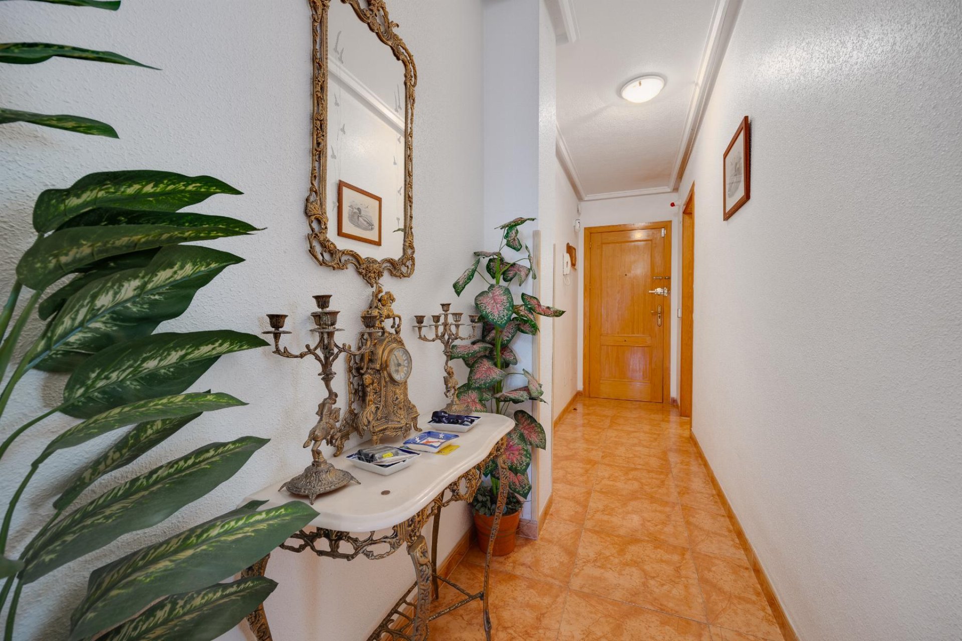 Rynek Wtórny - Apartament - Torrevieja - Centro