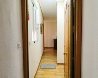 Rynek Wtórny - Apartament - Torrevieja - Centro