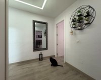 Rynek Wtórny - Apartament - Torrevieja - Centro