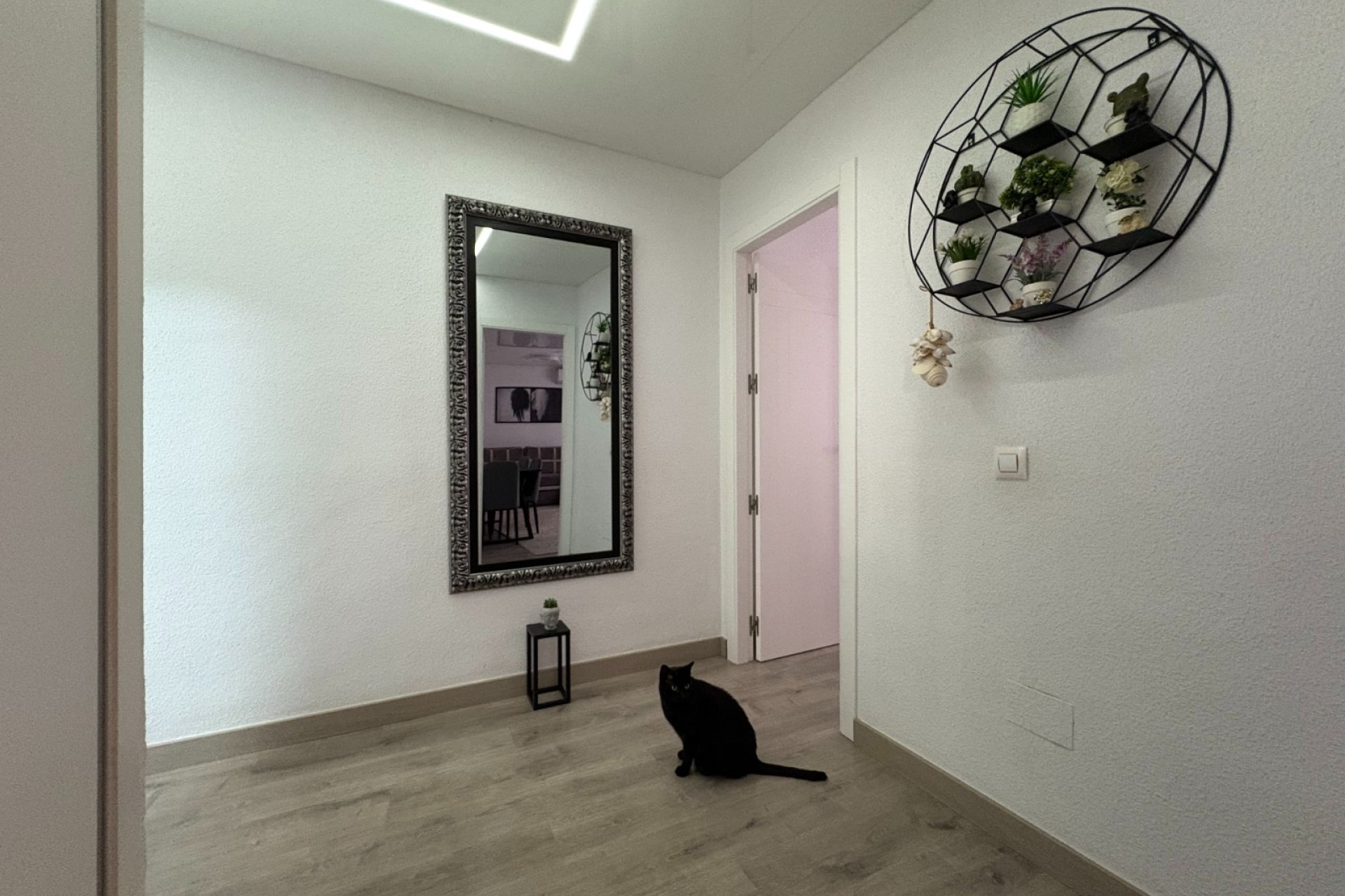 Rynek Wtórny - Apartament - Torrevieja - Centro