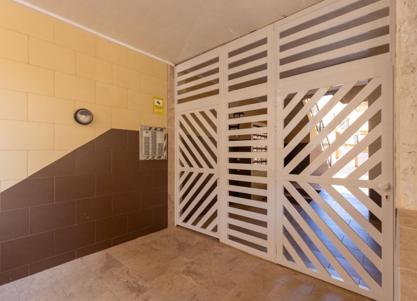 Rynek Wtórny - Apartament - Torrevieja - Centro