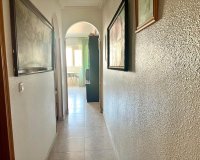 Rynek Wtórny - Apartament - Torrevieja - Centro