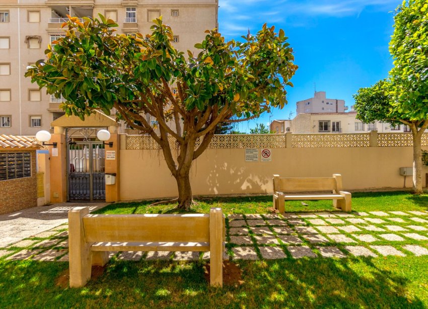 Rynek Wtórny - Apartament - Torrevieja - Centro