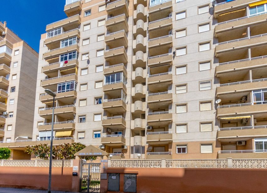 Rynek Wtórny - Apartament - Torrevieja - Centro
