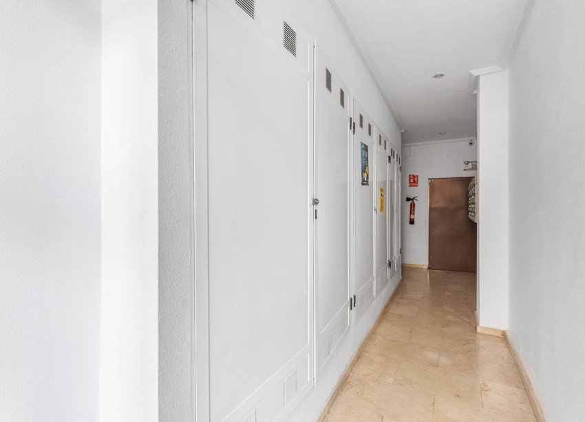 Rynek Wtórny - Apartament - Torrevieja - Centro