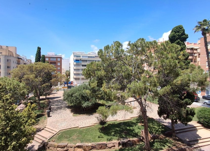 Rynek Wtórny - Apartament - Torrevieja - Centro