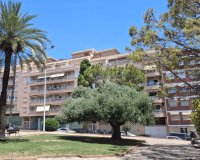 Rynek Wtórny - Apartament - Torrevieja - Centro