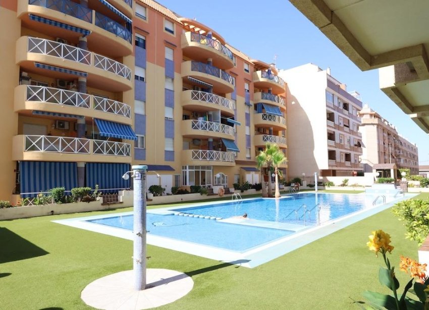 Rynek Wtórny - Apartament - Torrevieja - Centro