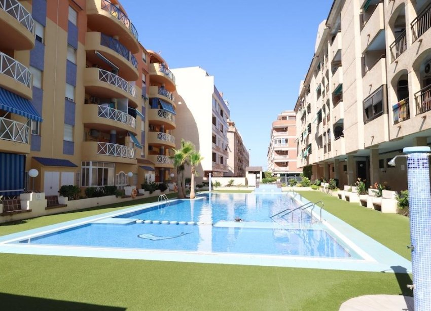 Rynek Wtórny - Apartament - Torrevieja - Centro