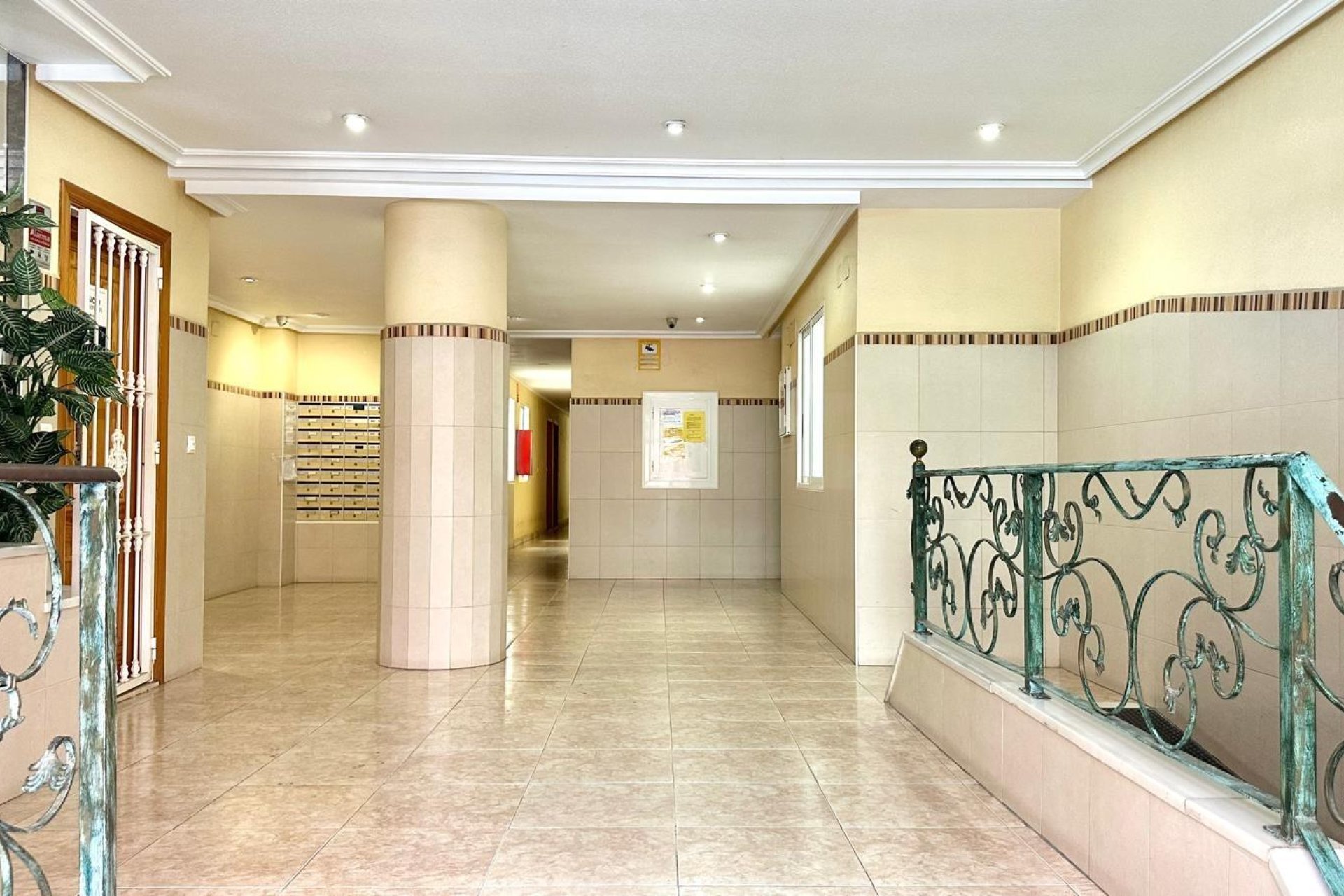 Rynek Wtórny - Apartament - Torrevieja - Centro