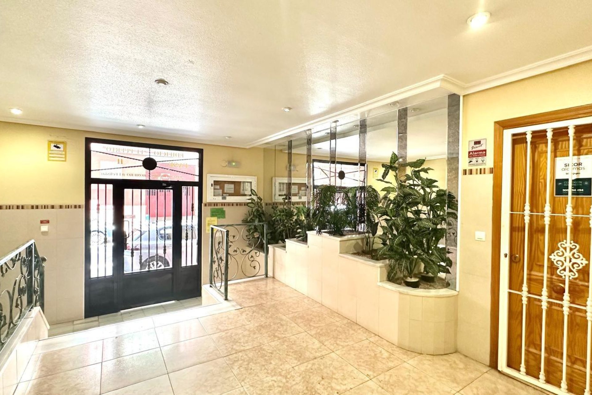 Rynek Wtórny - Apartament - Torrevieja - Centro