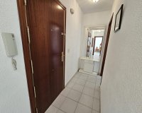 Rynek Wtórny - Apartament - Torrevieja - Centro