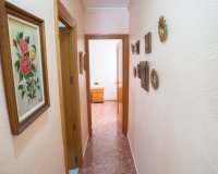 Rynek Wtórny - Apartament - Torrevieja - Costa Blanca