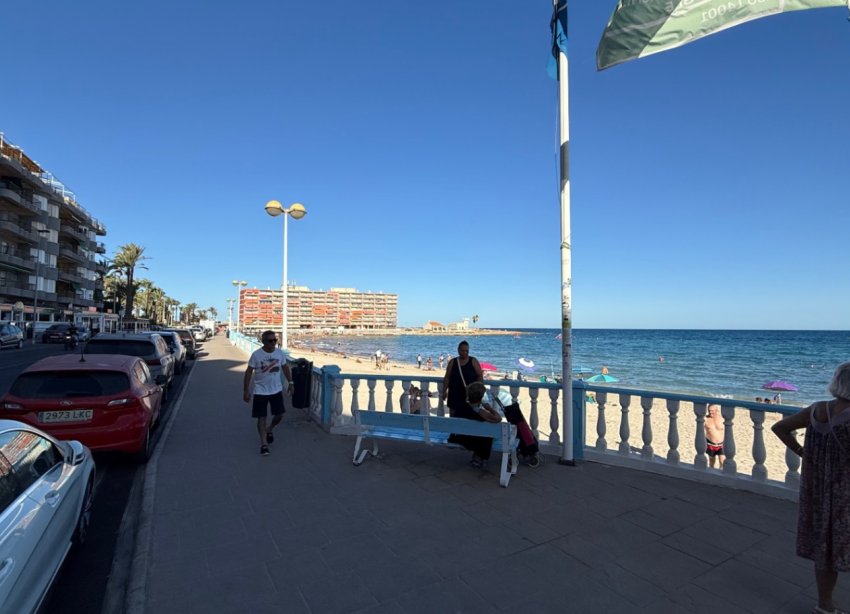 Rynek Wtórny - Apartament - Torrevieja - Costa Blanca