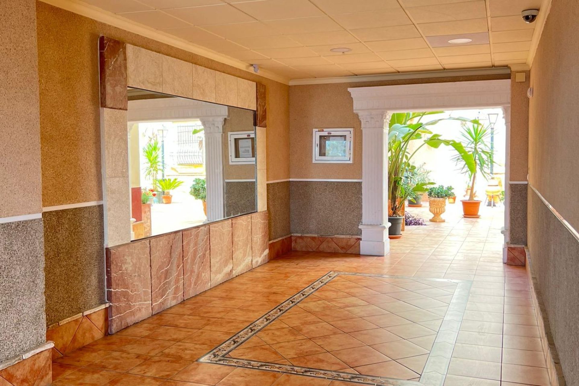 Rynek Wtórny - Apartament - Torrevieja - Curva del Palangre