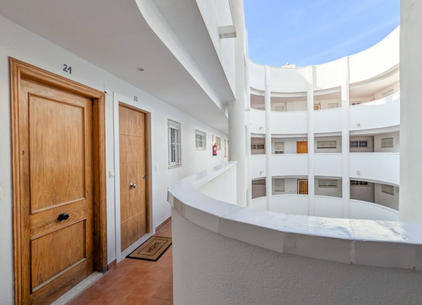 Rynek Wtórny - Apartament - Torrevieja - El Acequión - Los Náufragos