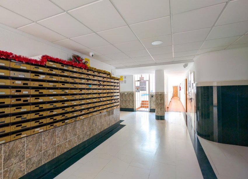 Rynek Wtórny - Apartament - Torrevieja - El Acequión - Los Náufragos