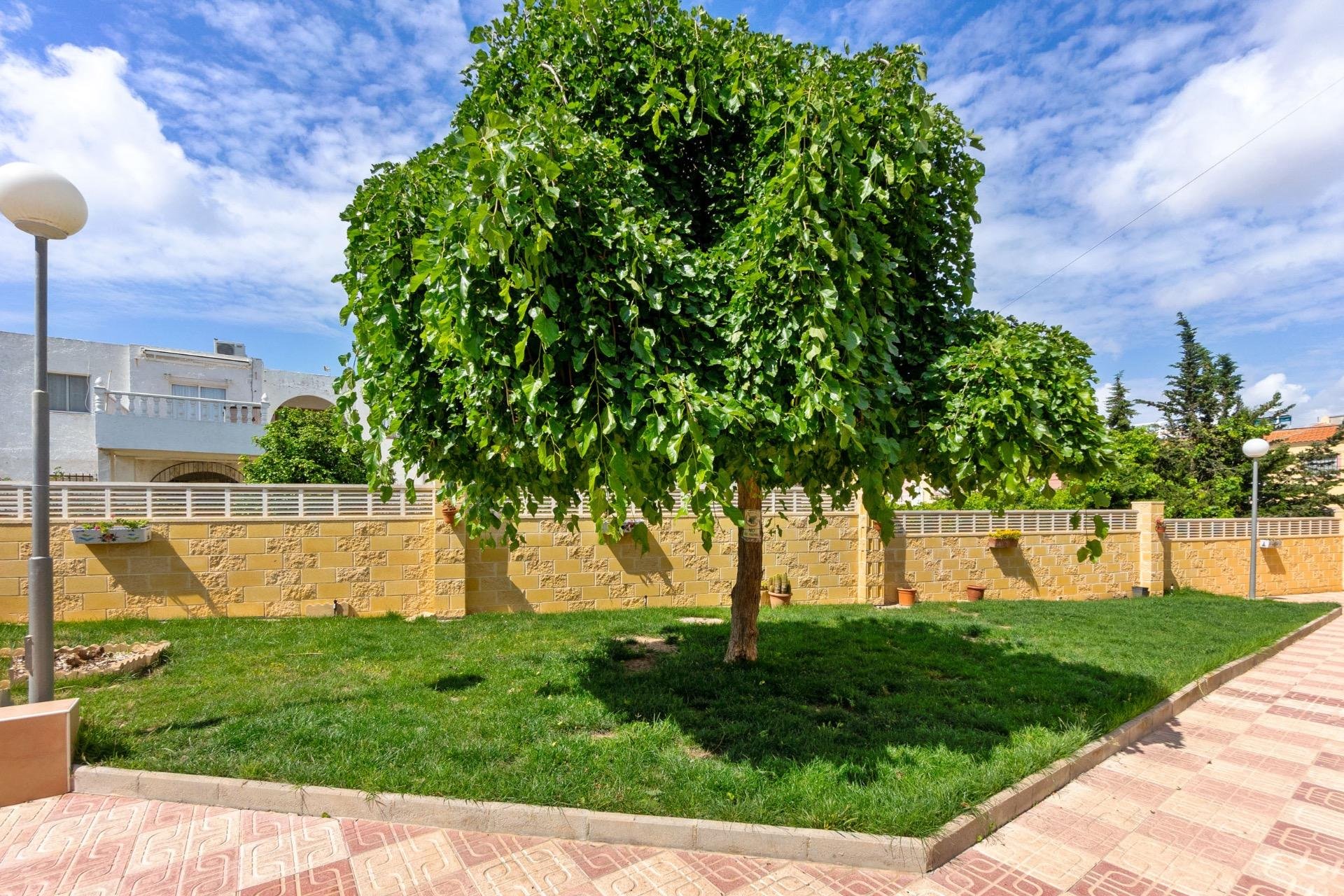 Rynek Wtórny - Apartament - Torrevieja - El chaparral