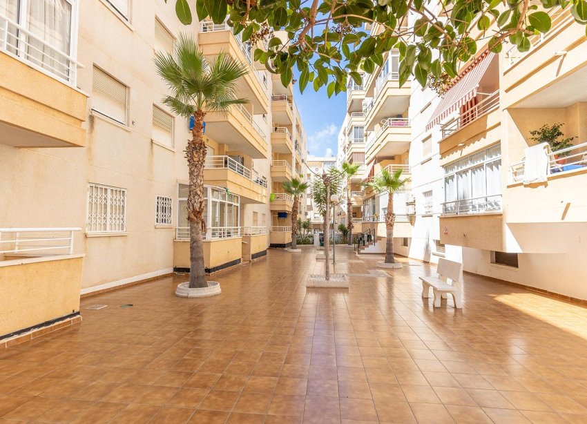 Rynek Wtórny - Apartament - Torrevieja - Estacion de autobuses