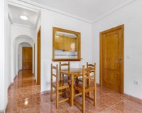 Rynek Wtórny - Apartament - Torrevieja - Estacion de autobuses