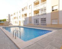Rynek Wtórny - Apartament - Torrevieja - Estacion de autobuses