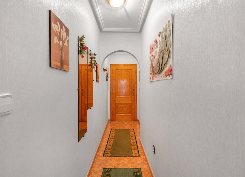 Rynek Wtórny - Apartament - Torrevieja - Estacion de autobuses