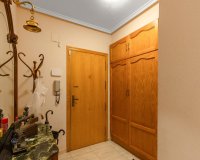 Rynek Wtórny - Apartament - Torrevieja - Estacion de autobuses