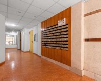 Rynek Wtórny - Apartament - Torrevieja - Estacion de autobuses