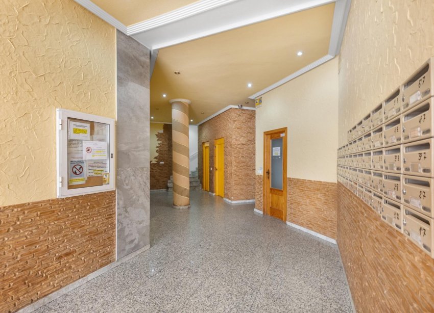 Rynek Wtórny - Apartament - Torrevieja - Estacion de autobuses