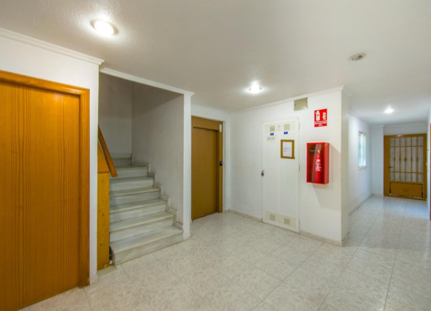 Rynek Wtórny - Apartament - Torrevieja - Estacion de autobuses