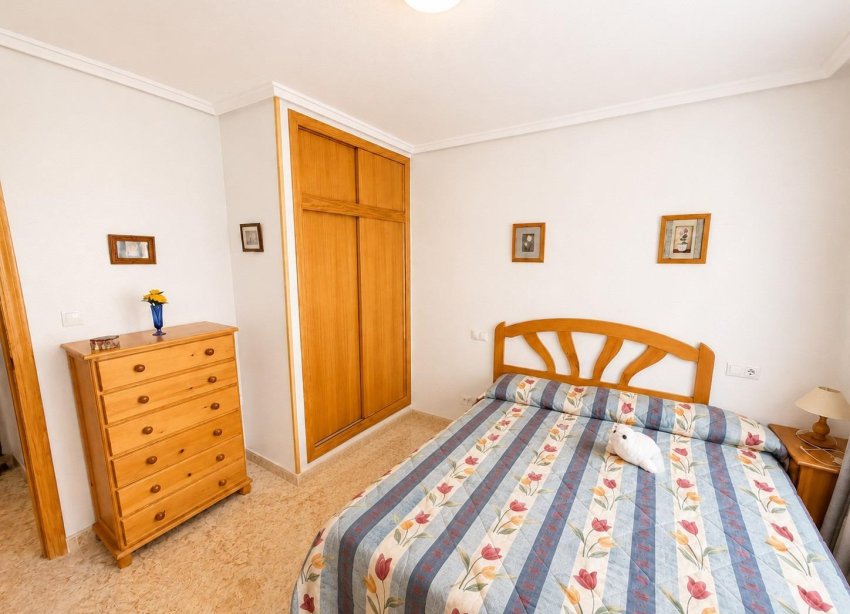 Rynek Wtórny - Apartament - Torrevieja - Estacion de autobuses