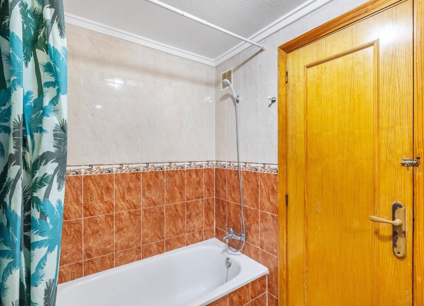 Rynek Wtórny - Apartament - Torrevieja - Estacion de autobuses