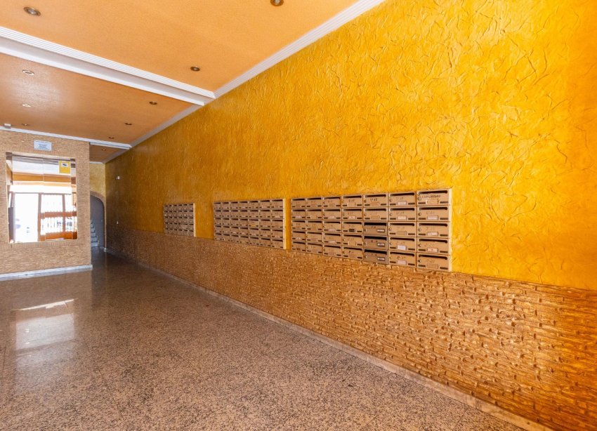 Rynek Wtórny - Apartament - Torrevieja - Estacion de autobuses