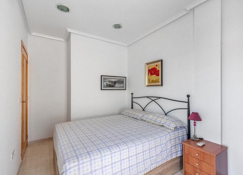 Rynek Wtórny - Apartament - Torrevieja - Estacion de autobuses