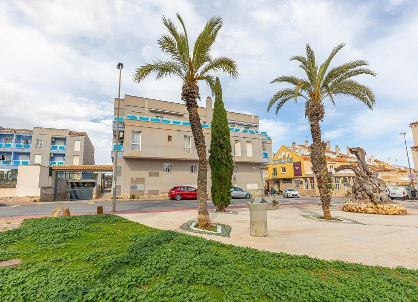 Rynek Wtórny - Apartament - Torrevieja - Estacion de autobuses