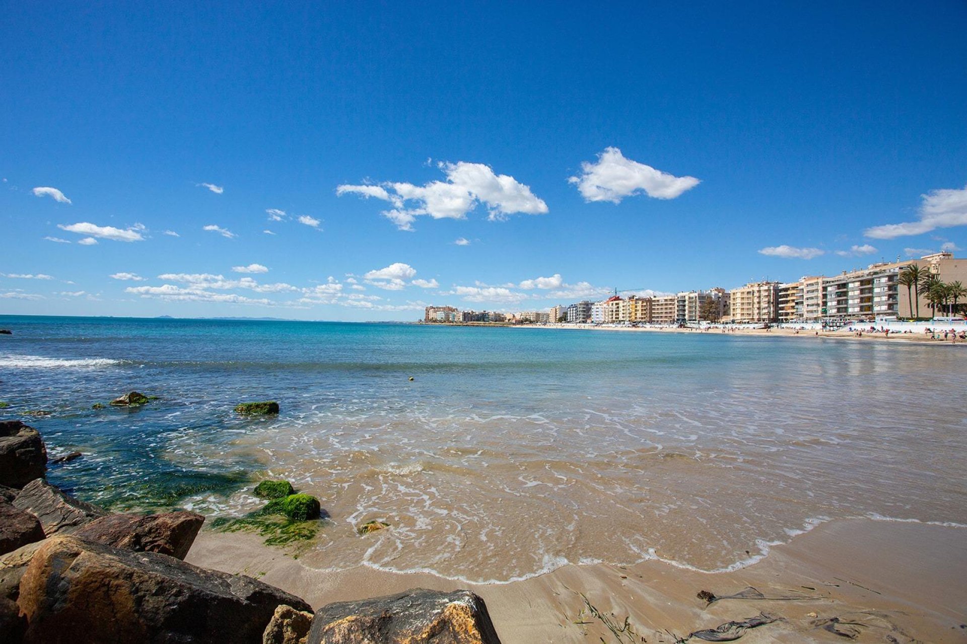 Rynek Wtórny - Apartament - Torrevieja - Estacion de autobuses
